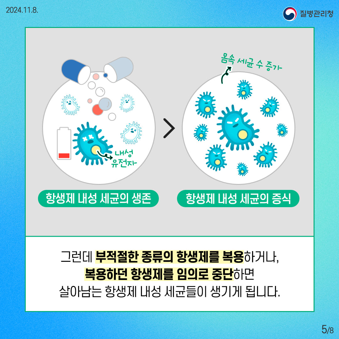 항생제 내성 세균의 생존 항생제 내성 세균의 증식